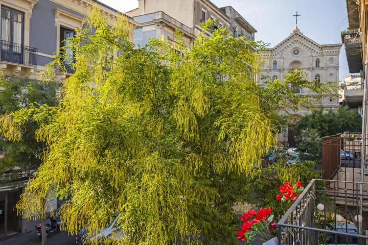 Апартаменти L'Angelo Di Casa Mia Катанія Екстер'єр фото